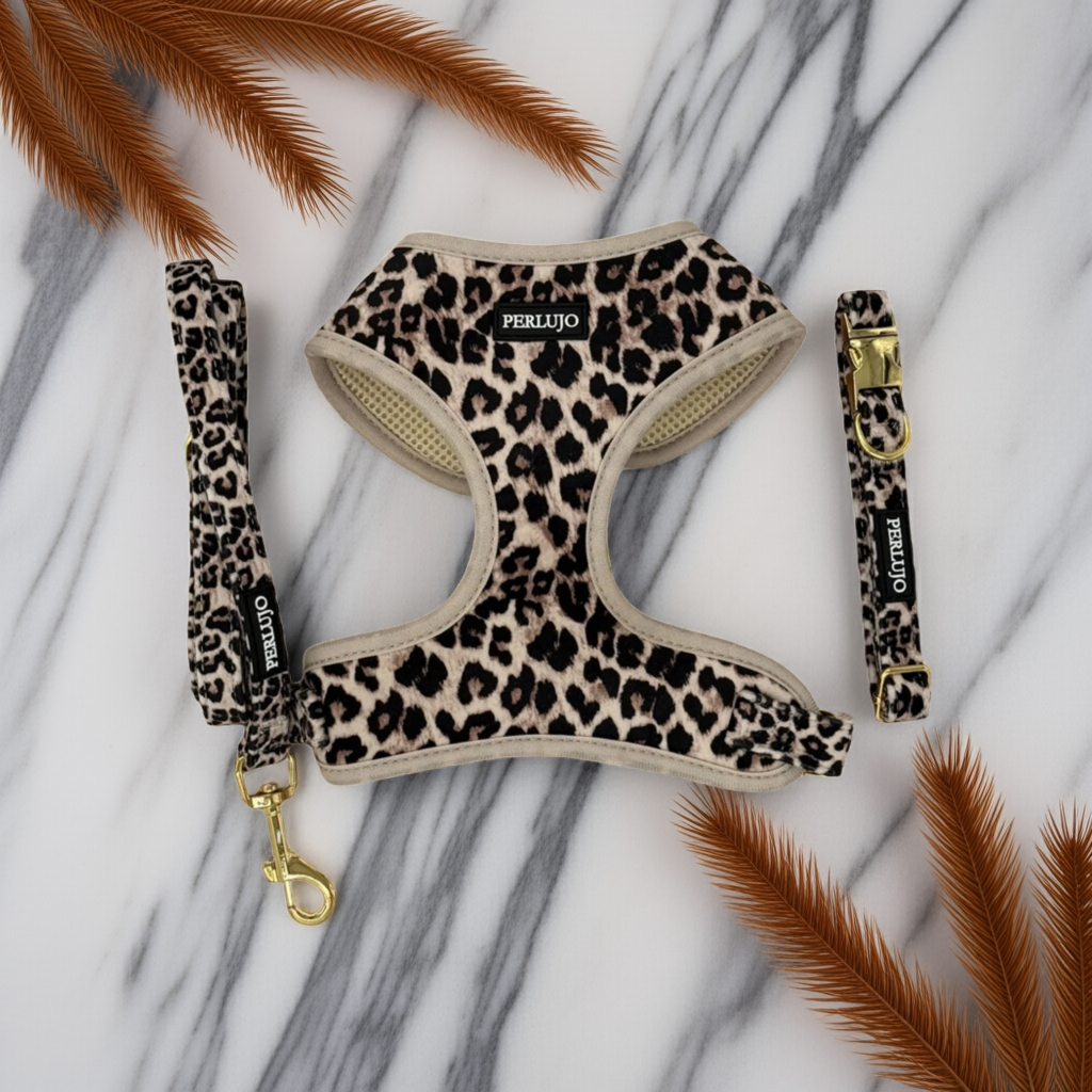 Wild Elegance Essentials Ensemble: Adjustable Neck Harness, Collar & Leash - Perlujo