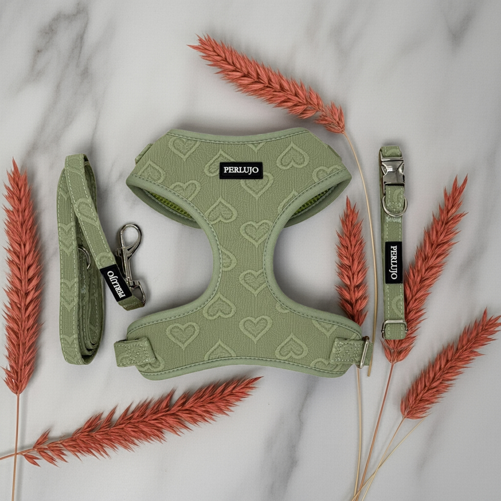 Minty Love Essentials Ensemble: Adjustable Neck Harness, Collar & Leash - Perlujo