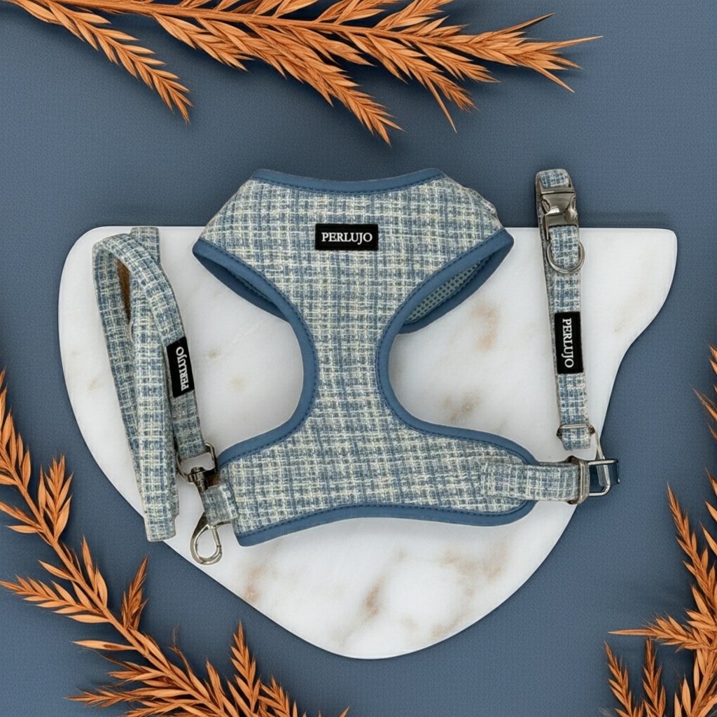 Sky Tweed Essentials Ensemble: Adjustable Neck Harness, Collar & Leash - Perlujo