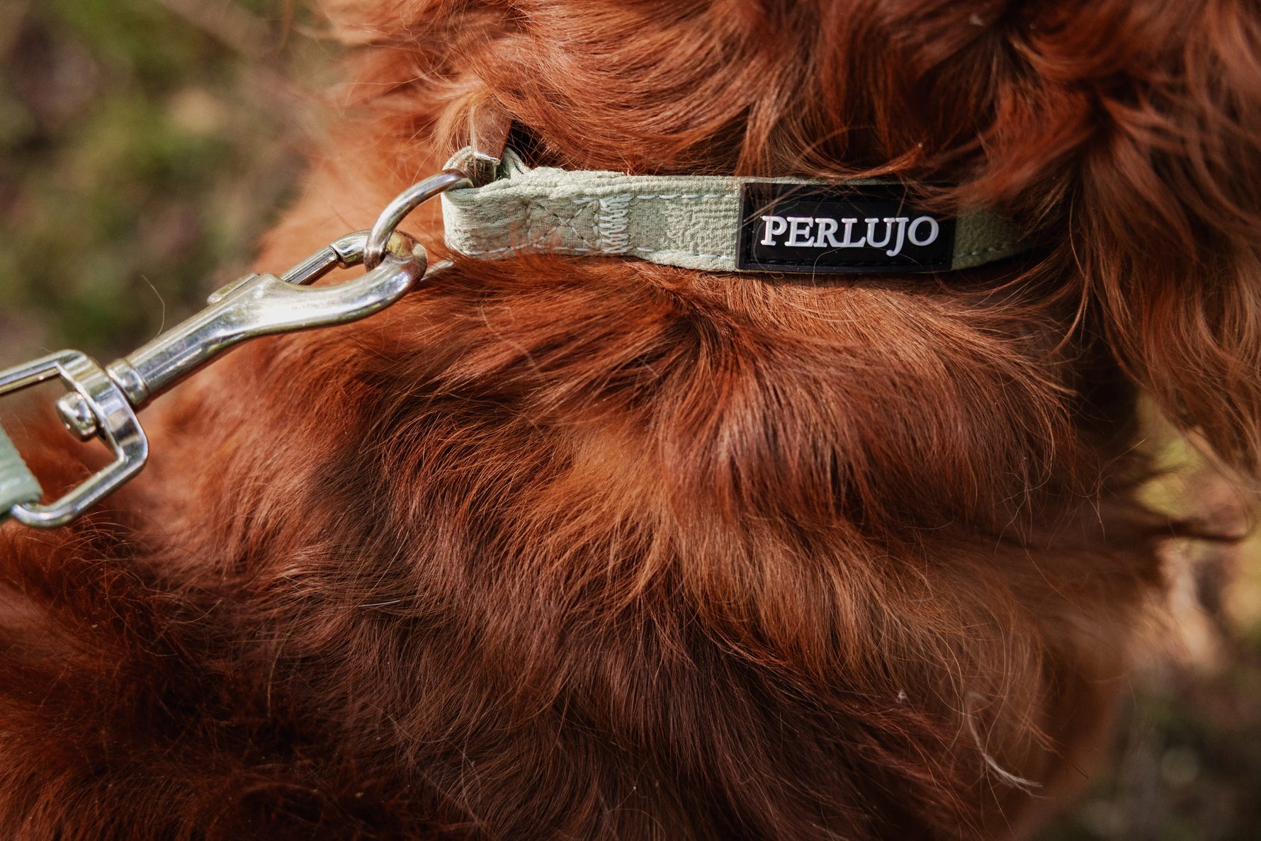 Minty Love Essentials Ensemble: Adjustable Neck Harness, Collar & Leash - Perlujo