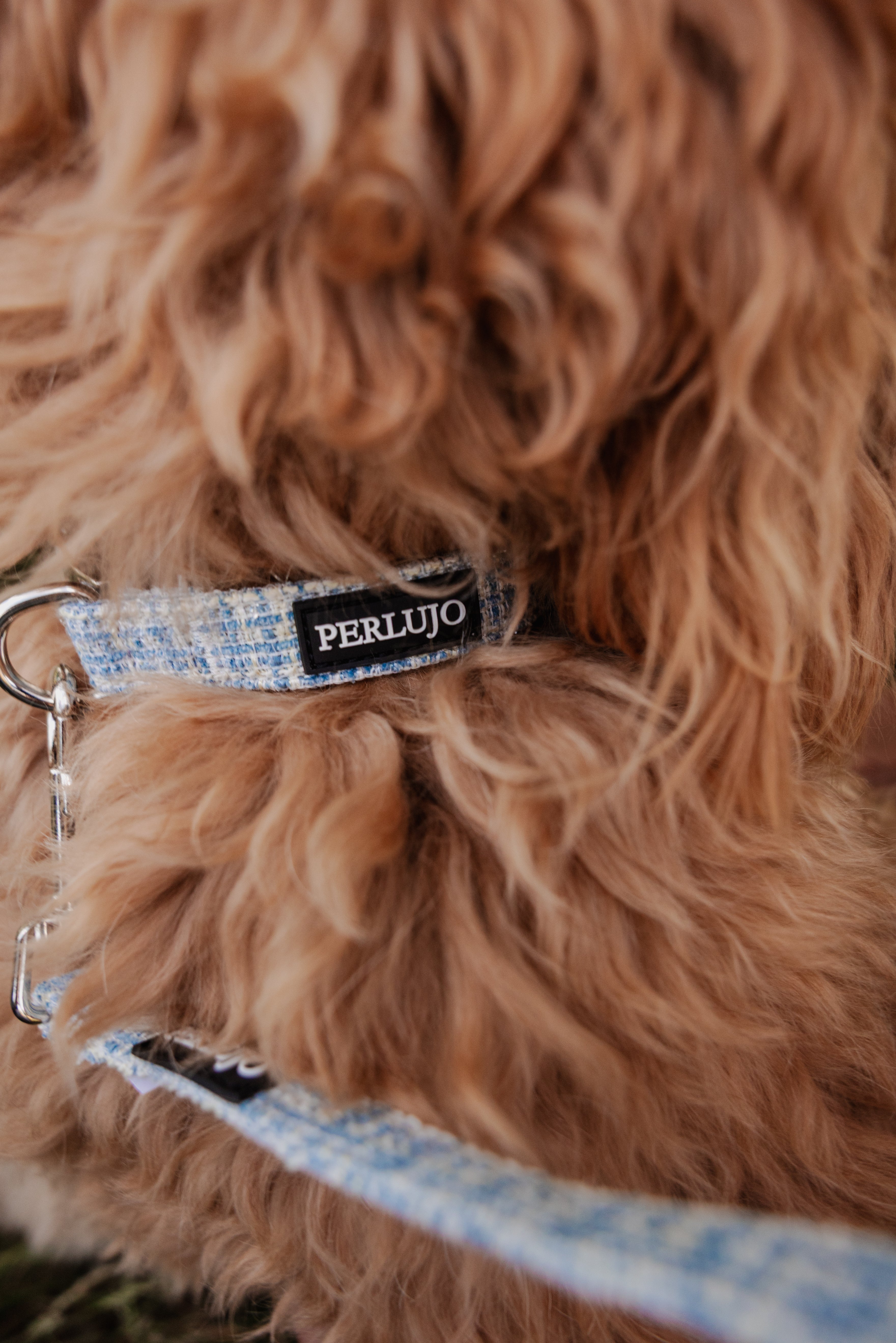 Sky Tweed Leash - Perlujo