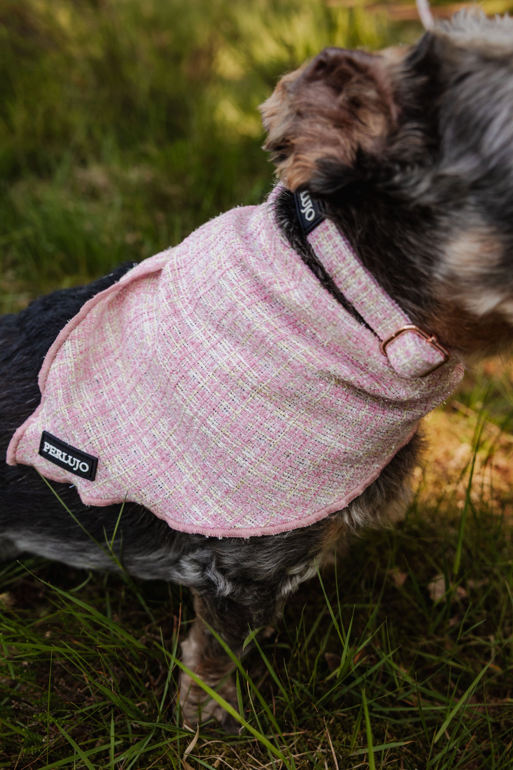 Blush Tweed Bandana - Perlujo