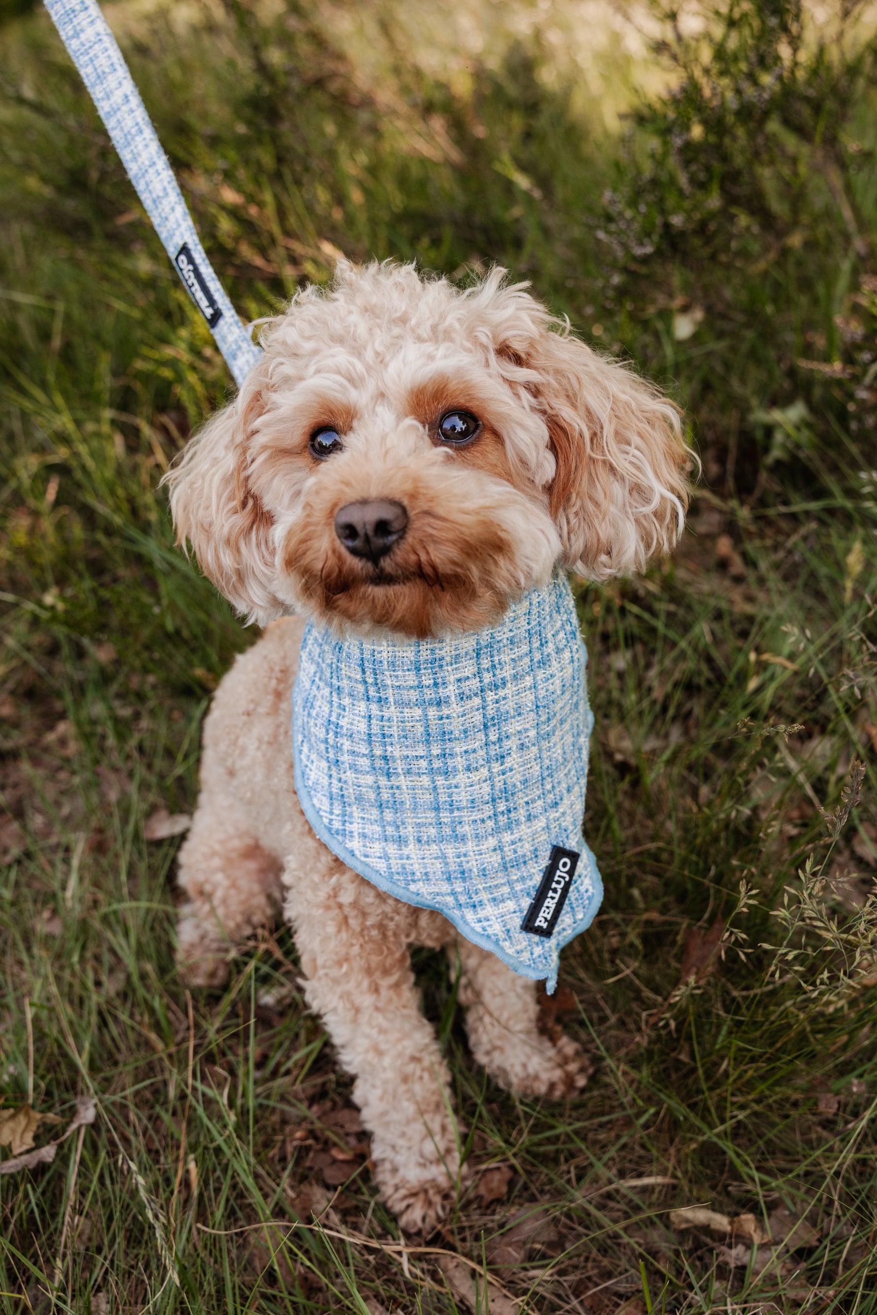 Sky Tweed Bandana - Perlujo