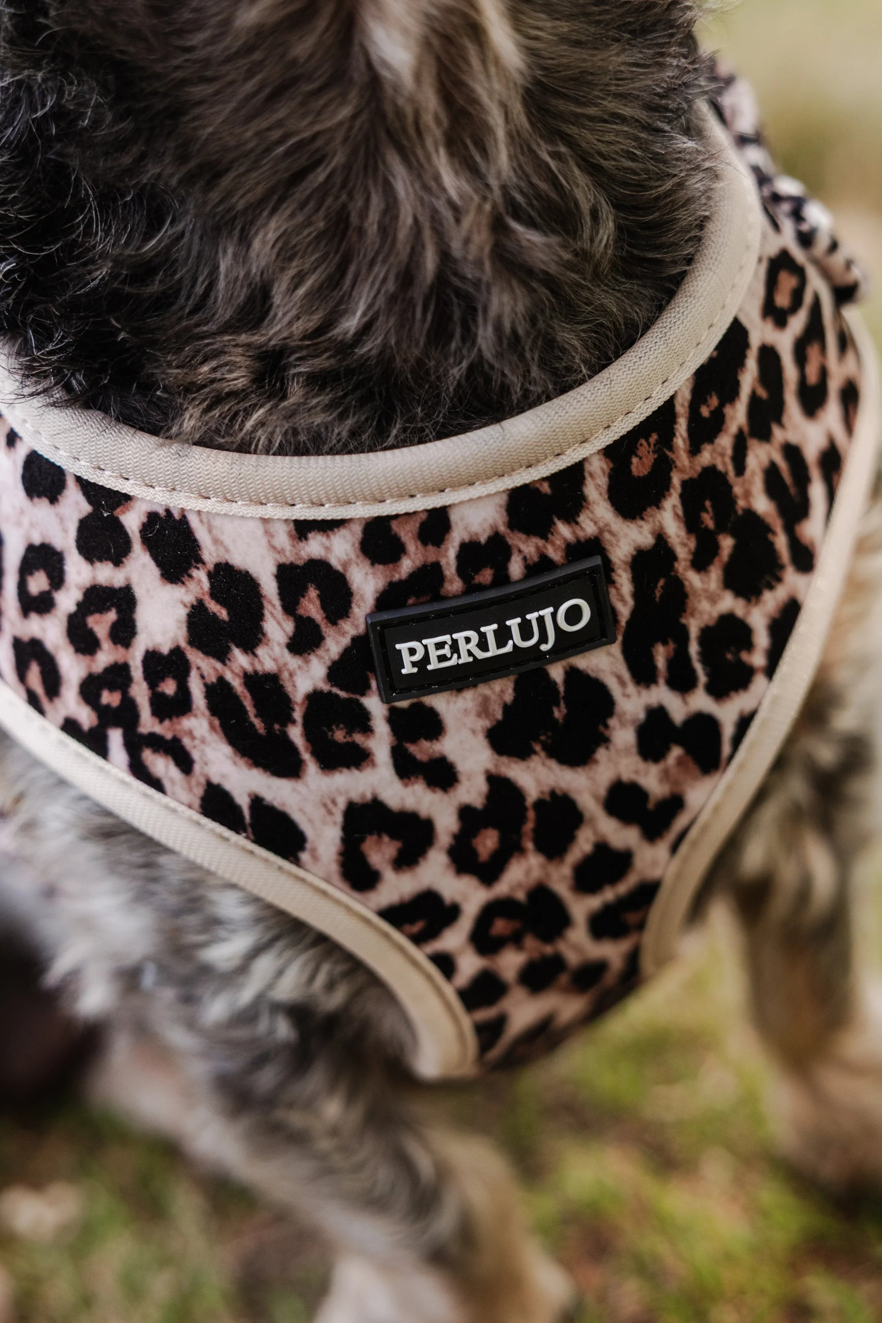 Wild Elegance Adjustable Neck Harness - Perlujo