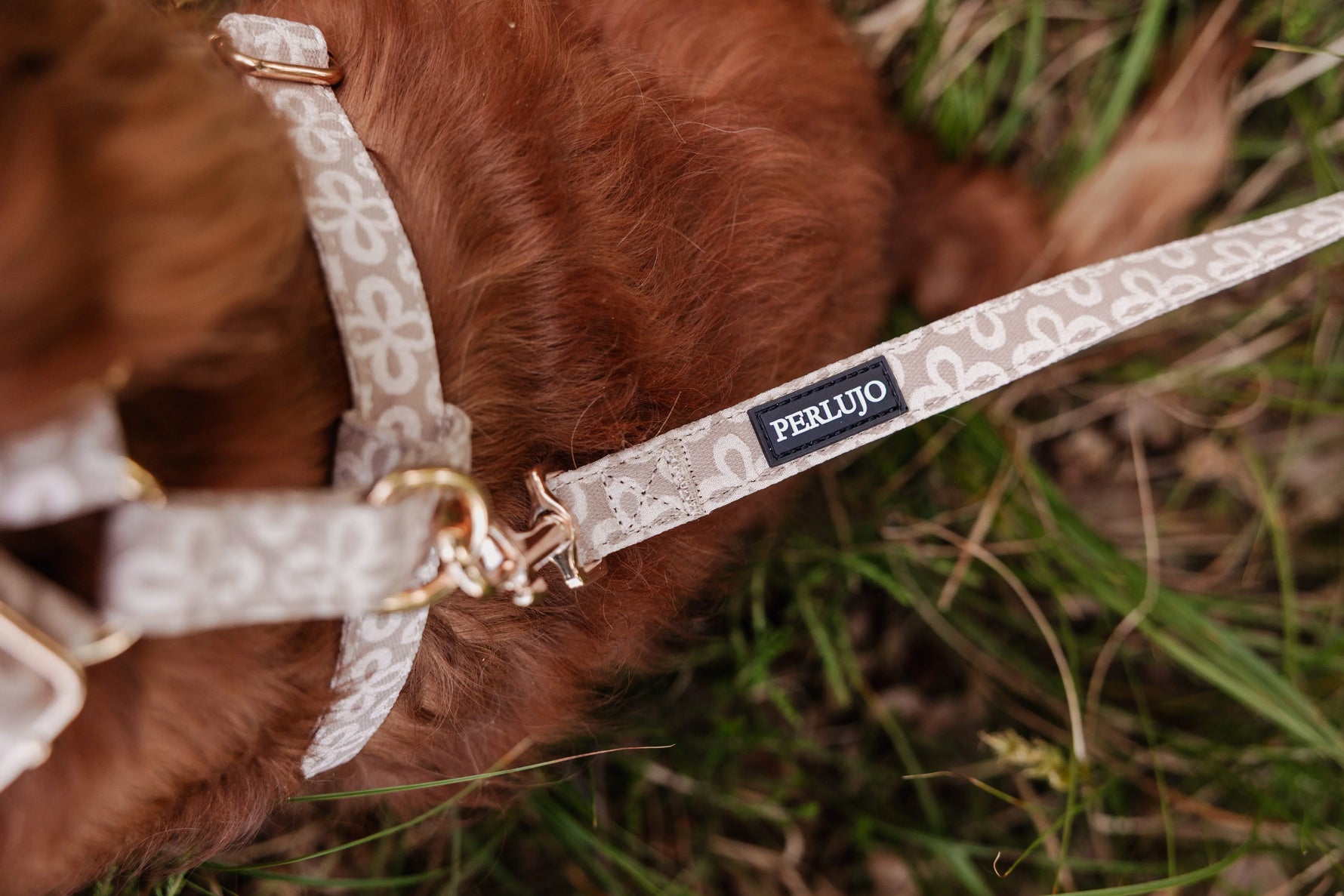 Champagne Clover Leash - Perlujo