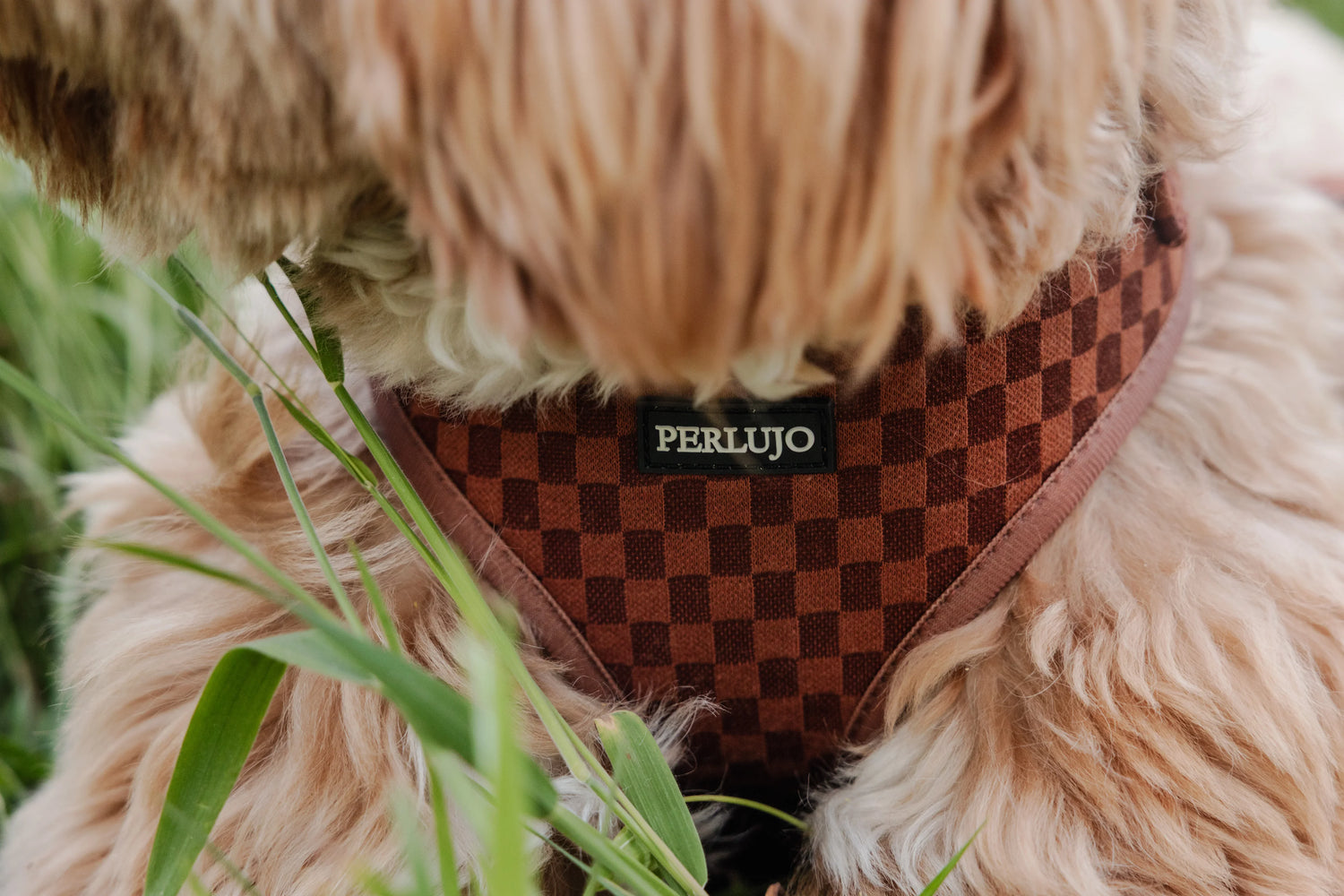 Classic Comfort Essentials Ensemble: Adjustable Neck Harness, Collar & Leash - Perlujo
