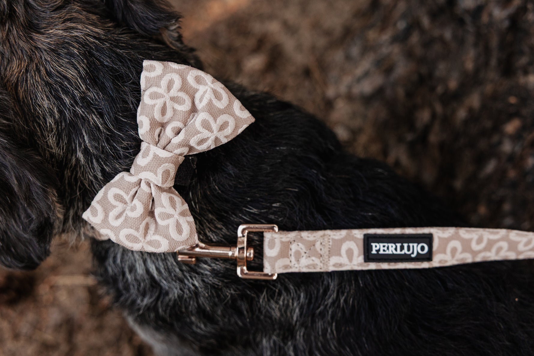 Champagne Clover Bow Tie - Perlujo