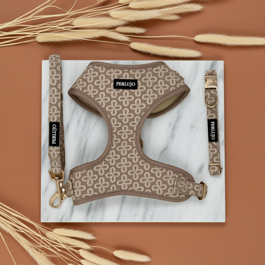 Champagne Clover Essentials Ensemble: Adjustable Neck Harness, Collar & Leash - Perlujo