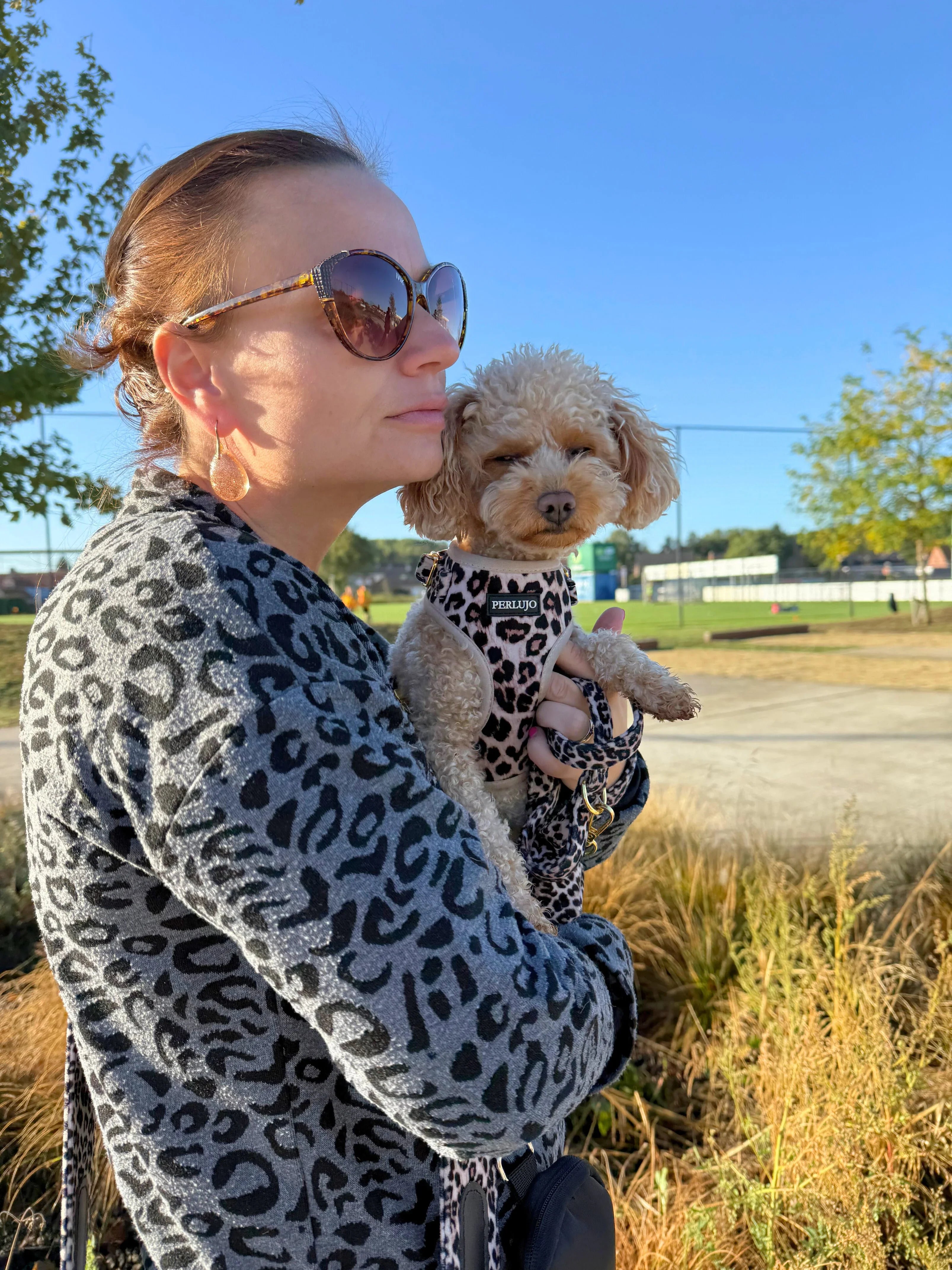 Verstelbare Instap Harnas Collectie