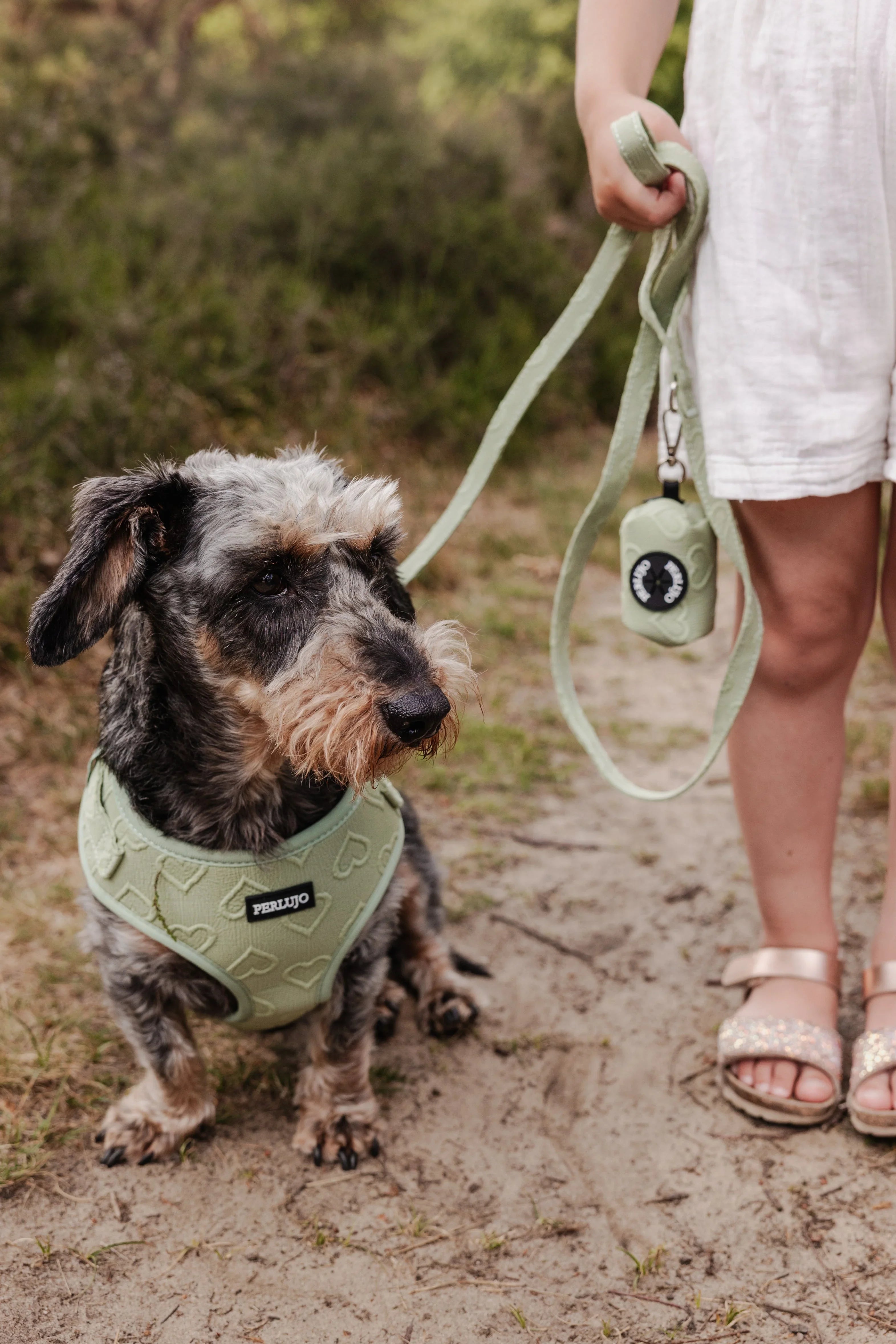 Poop Bag Holder Collection - Perlujo