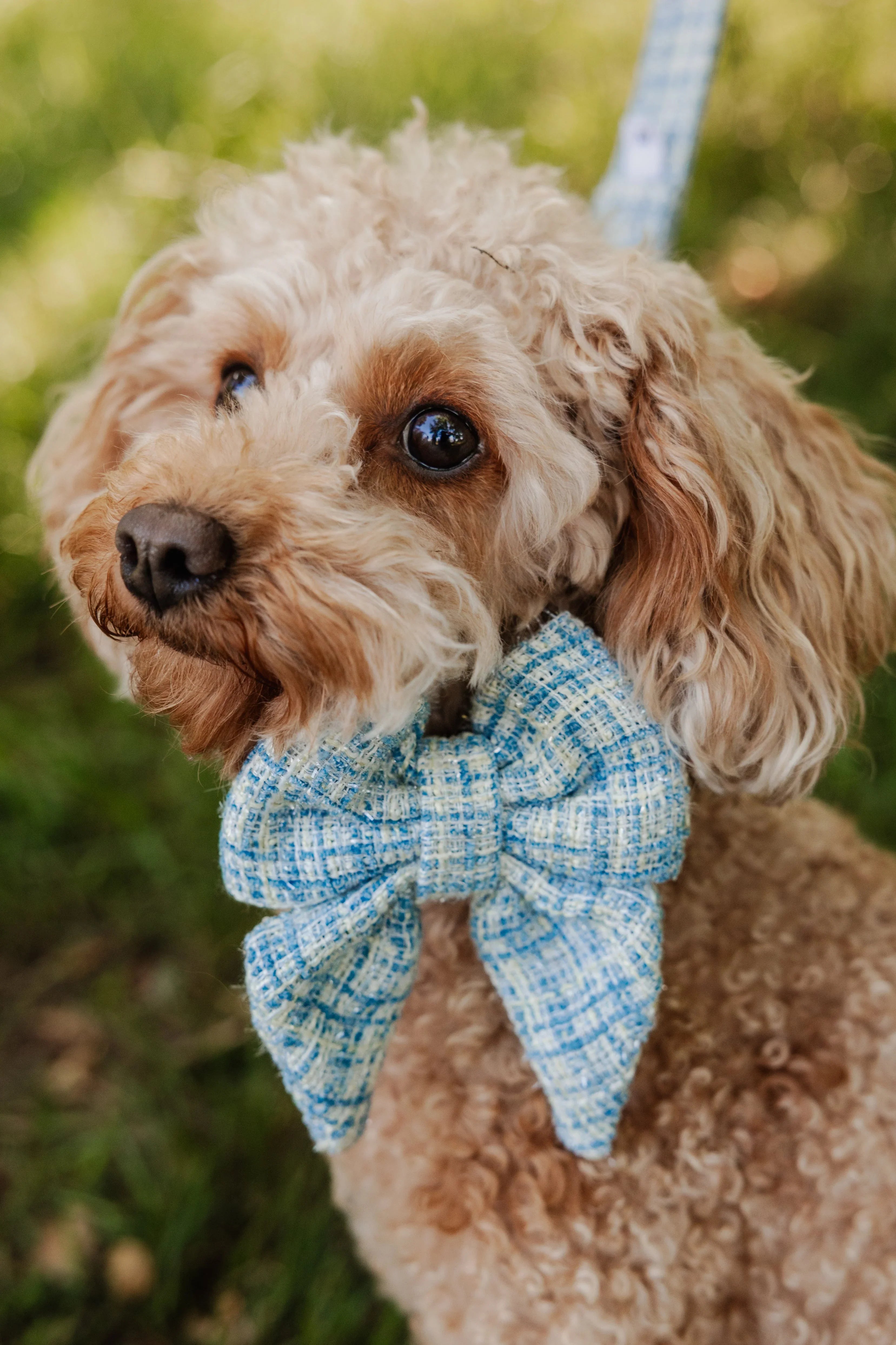Sailor Bow Tie Collection - Perlujo