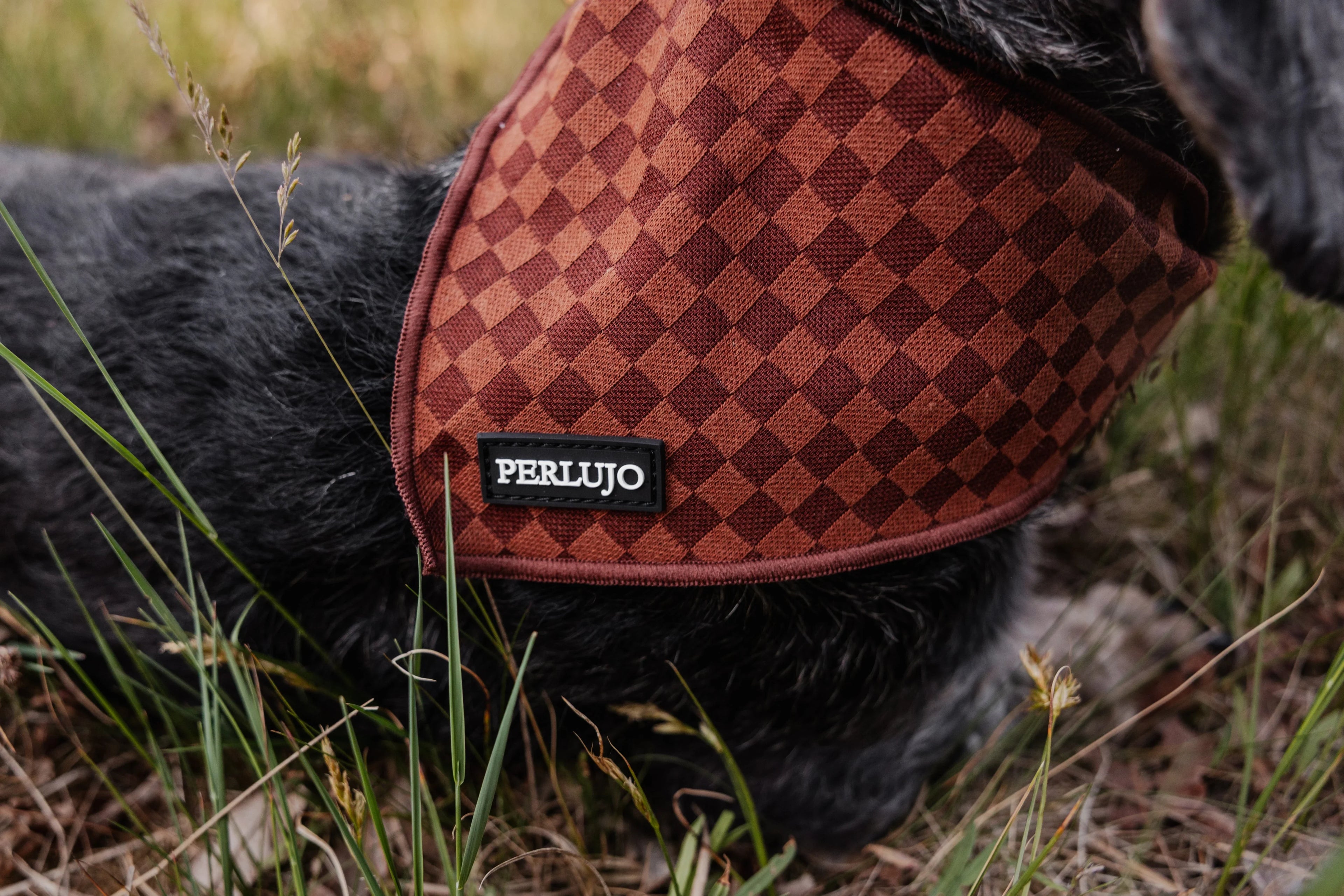 Bandana Collection - Perlujo
