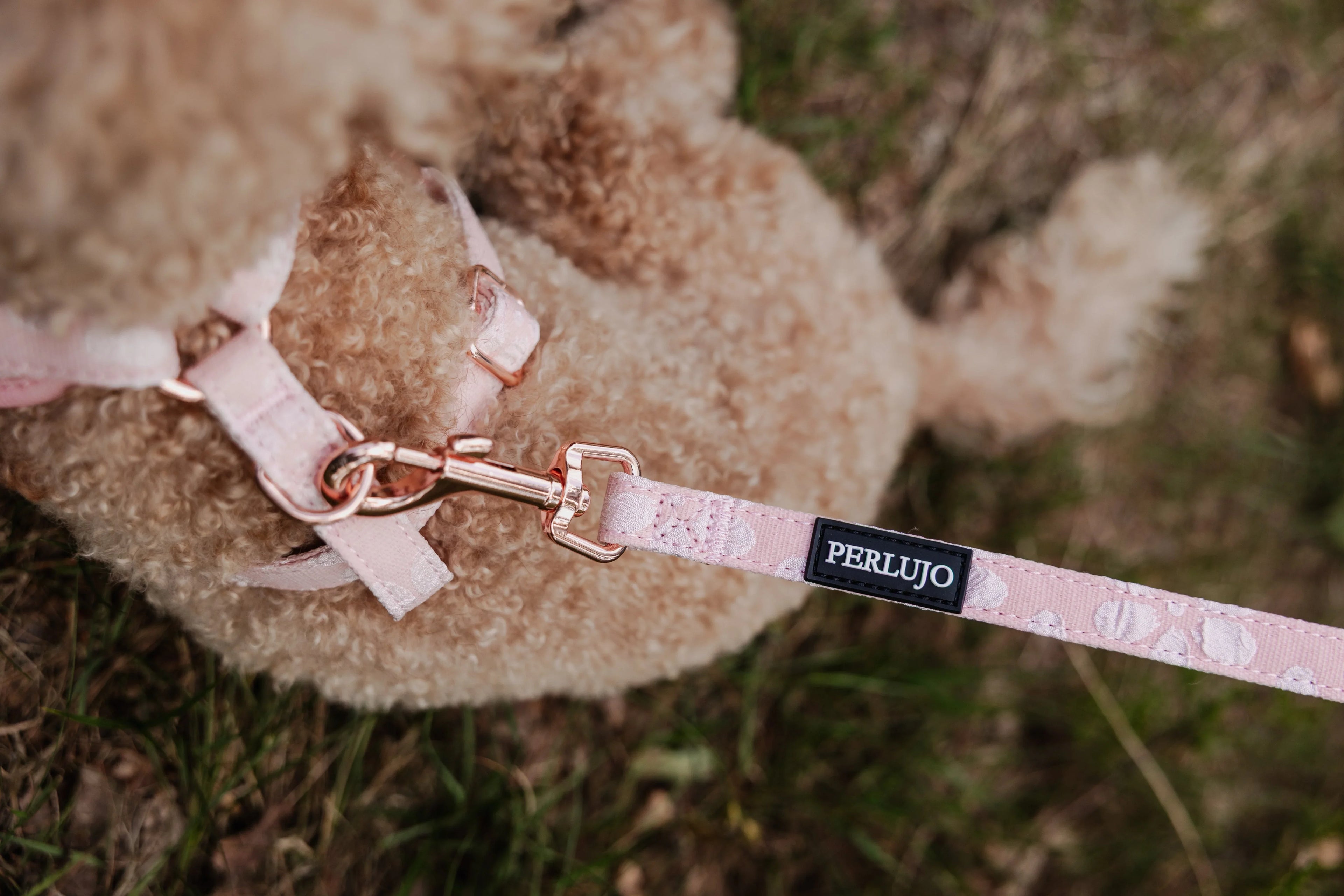 Leash Collection - Perlujo
