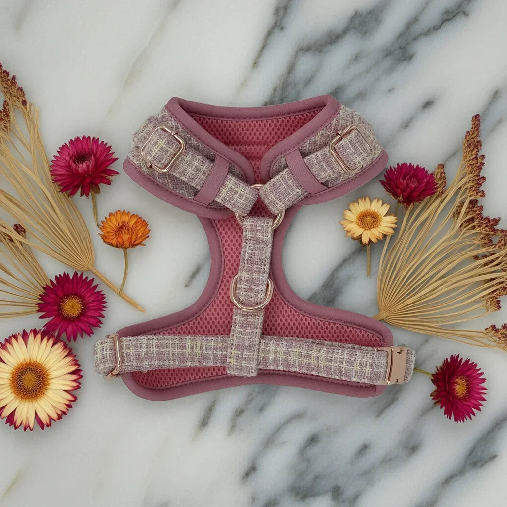 Blush Tweed Essentials Ensemble: Adjustable Neck Harness, Collar & Leash - Perlujo