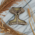 Champagne Clover Essentials Ensemble: Adjustable Neck Harness, Collar & Leash - Perlujo