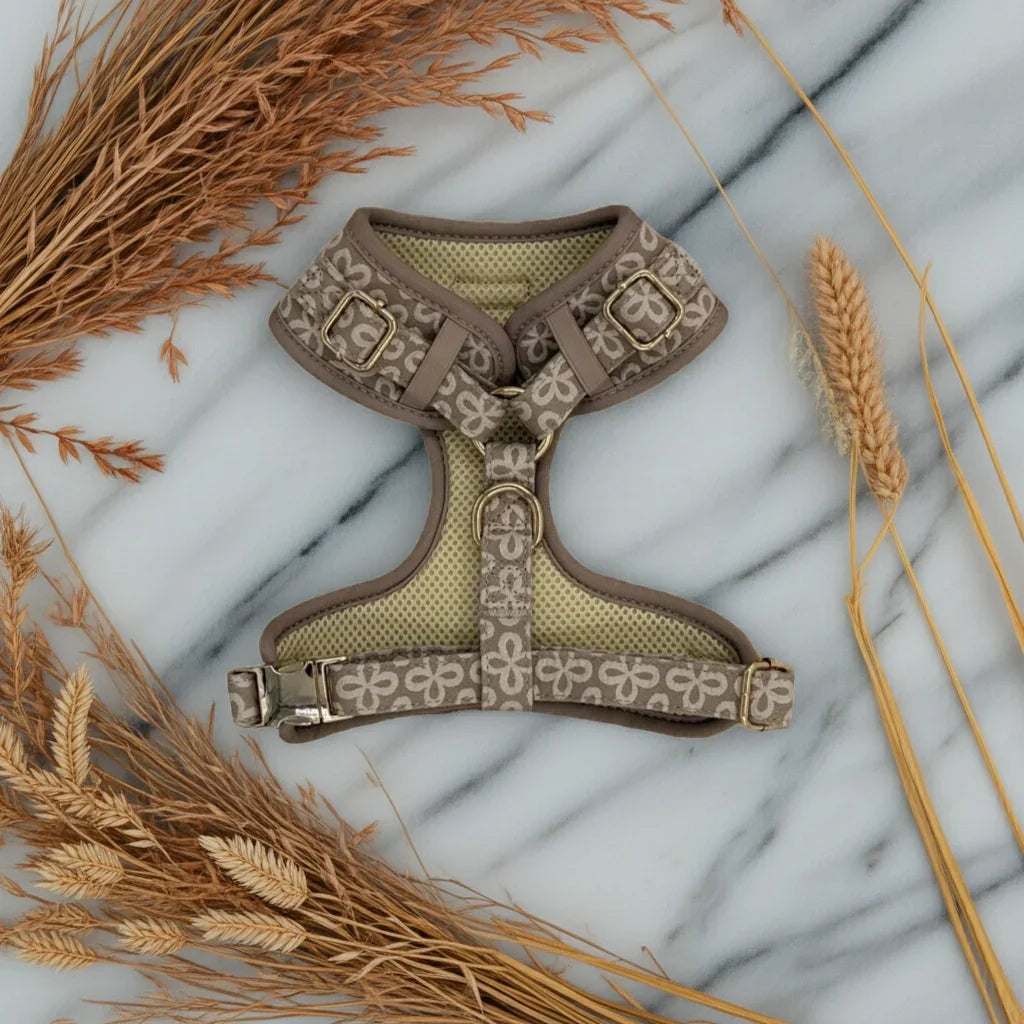 Champagne Clover Essentials Ensemble: Adjustable Neck Harness, Collar & Leash - Perlujo