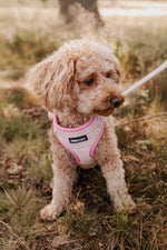 Blush Tweed Essentials Ensemble: Adjustable Neck Harness, Collar & Leash - Perlujo