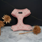 Rosy Bloom Essentials Ensemble: Adjustable Neck Harness, Collar & Leash - Perlujo