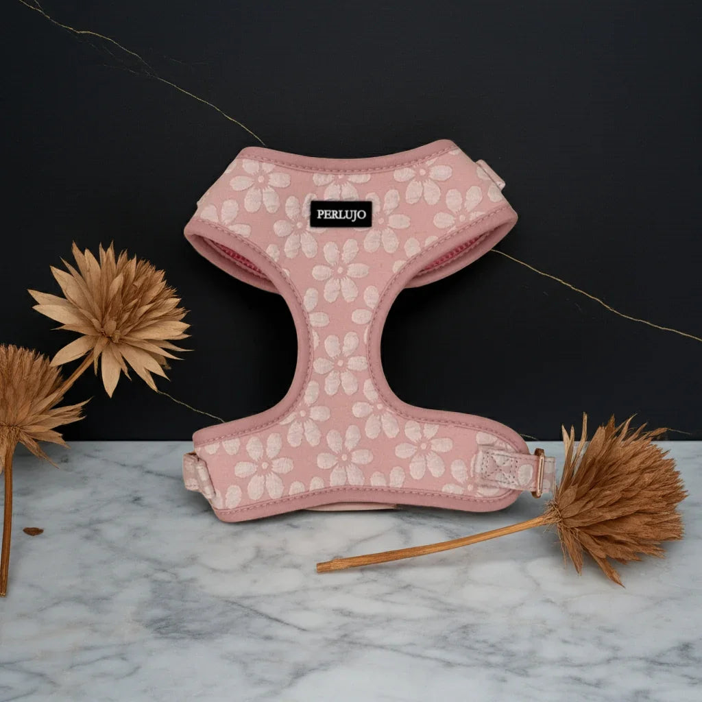 Rosy Bloom Essentials Ensemble: Adjustable Neck Harness, Collar & Leash - Perlujo