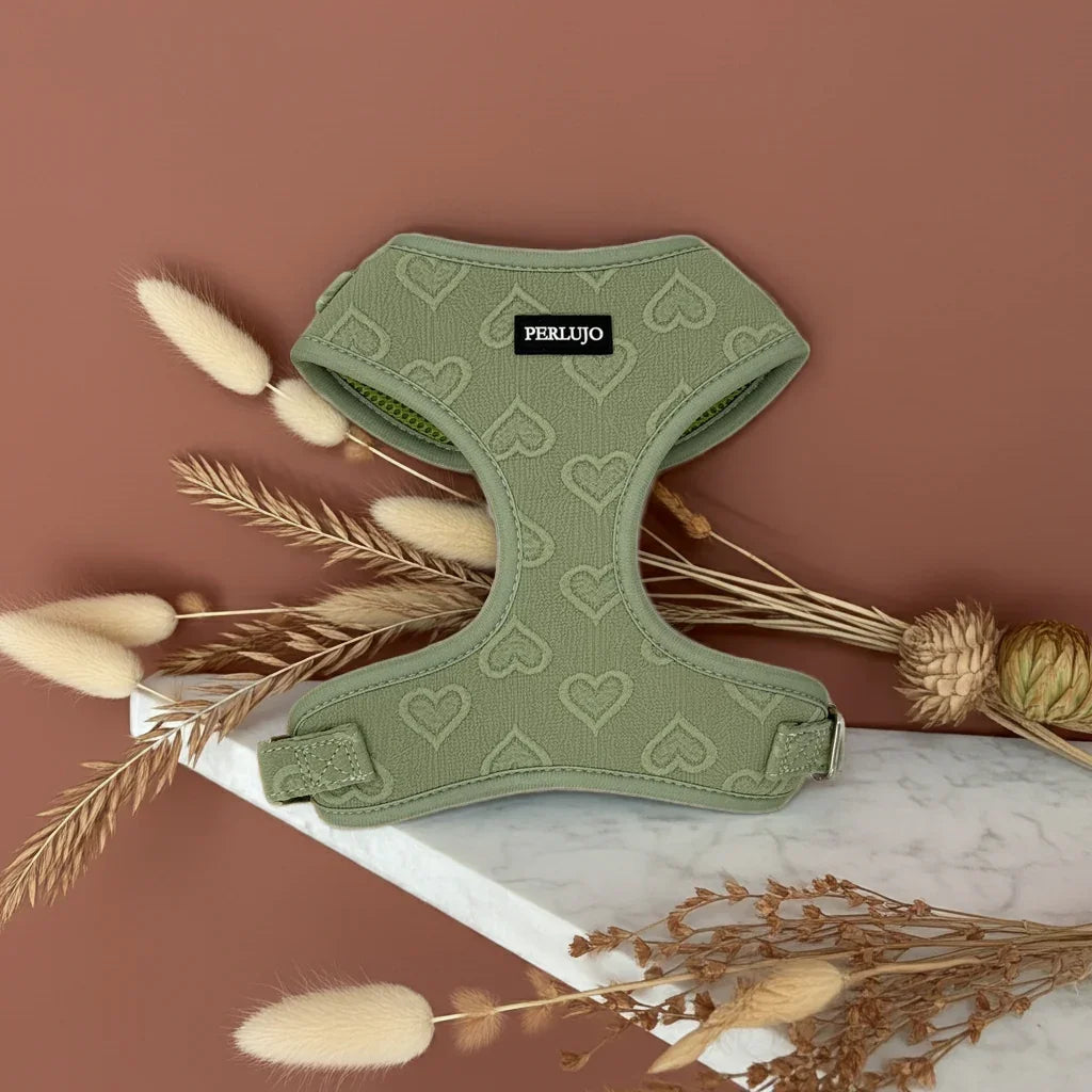 Minty Love Essentials Ensemble: Adjustable Neck Harness, Collar & Leash - Perlujo