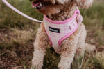 Blush Tweed Essentials Ensemble: Adjustable Neck Harness, Collar & Leash - Perlujo