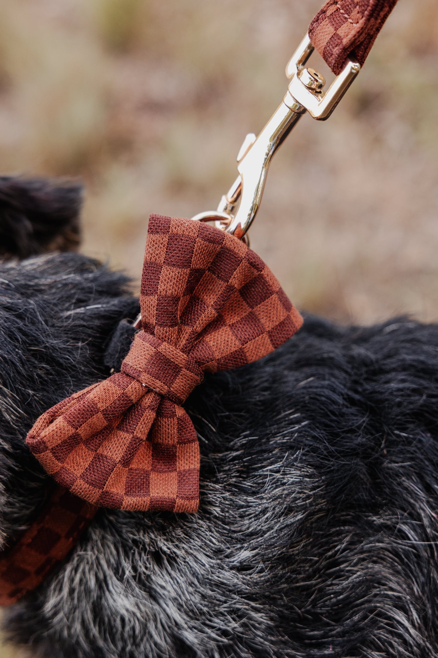 Classic Comfort Bow Tie - Perlujo