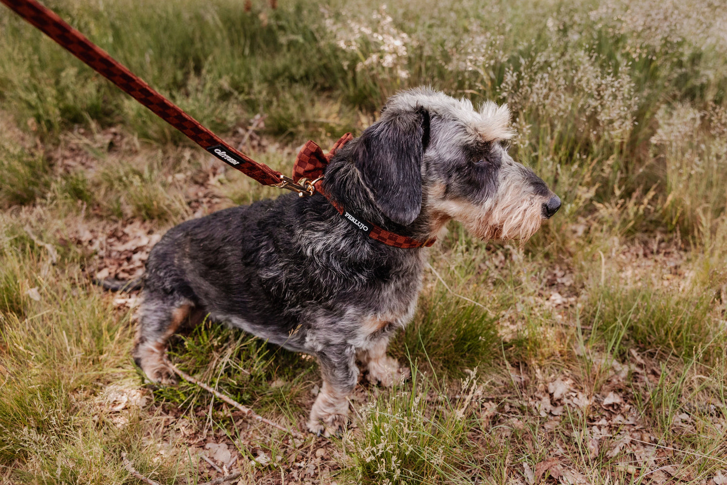 Classic Comfort Leash - Perlujo