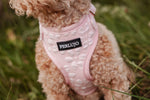 Rosy Bloom Adjustable Neck Harness - Perlujo