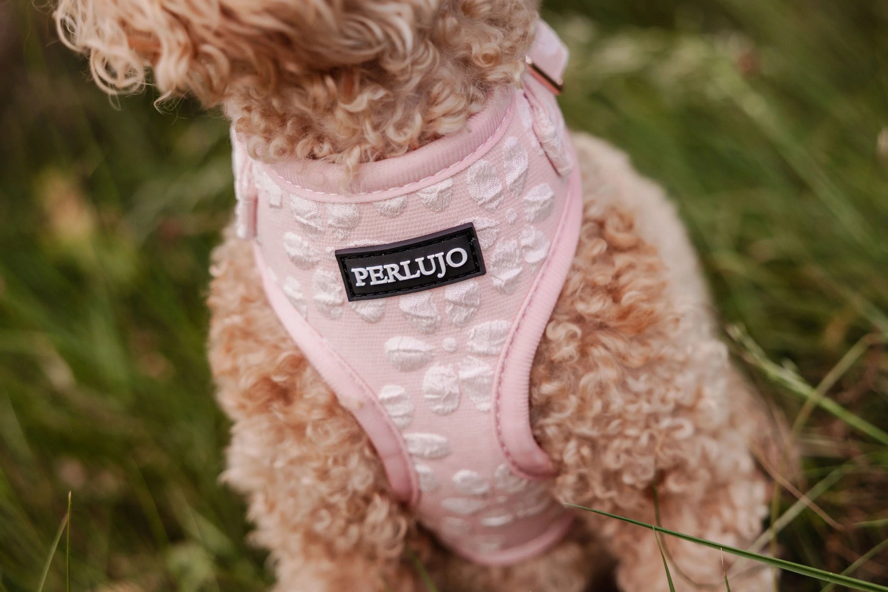 Rosy Bloom Adjustable Neck Harness - Perlujo
