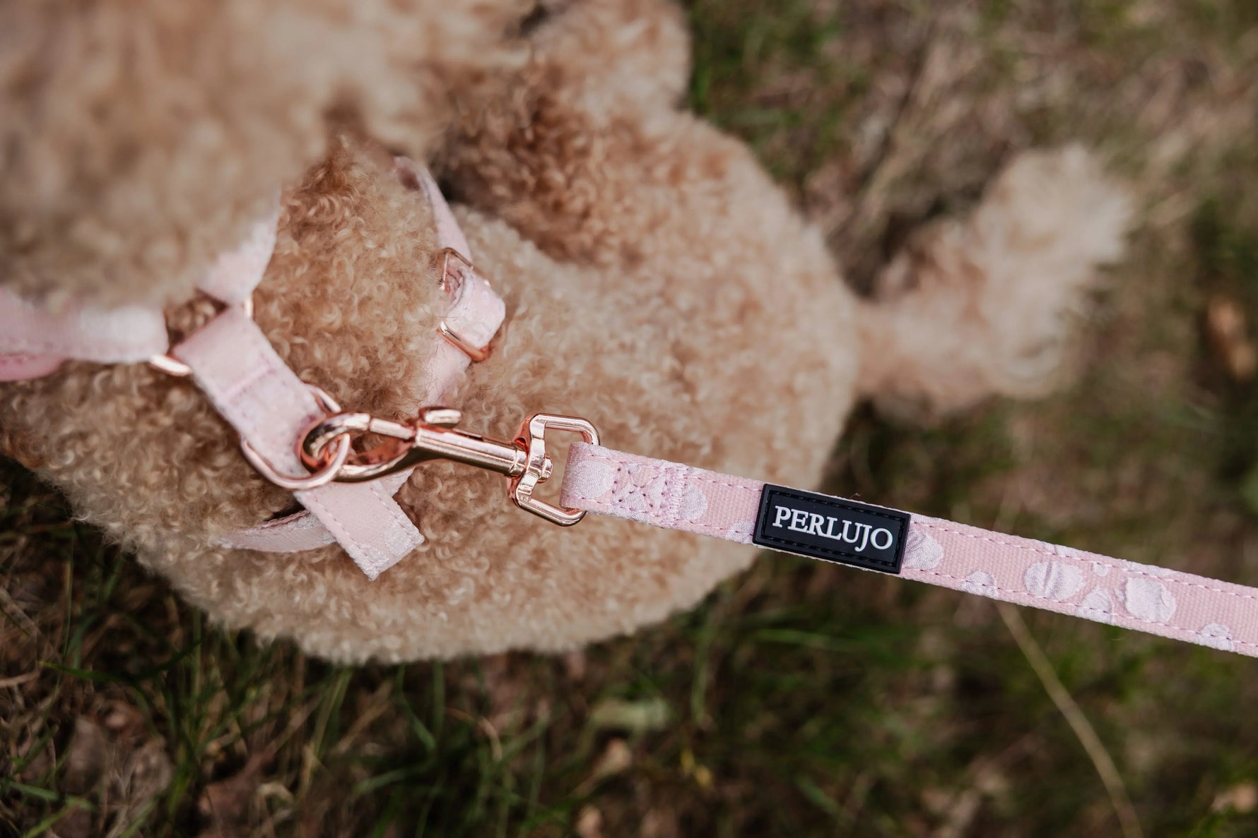 Rosy Bloom Essentials Ensemble: Adjustable Neck Harness, Collar & Leash - Perlujo
