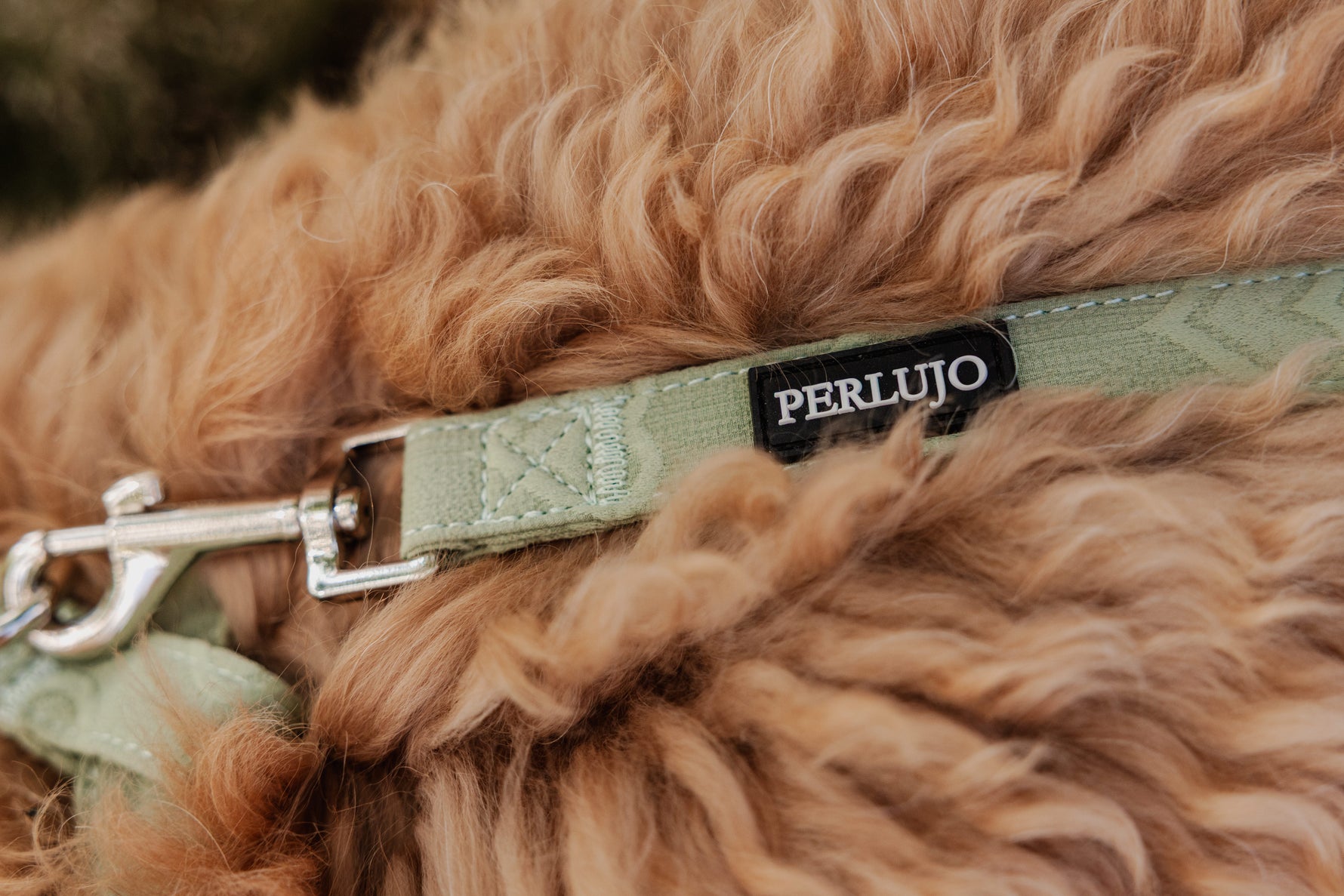 Minty Love Essentials Ensemble: Adjustable Neck Harness, Collar & Leash - Perlujo