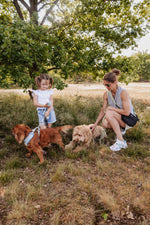 Minty Love Essentials Ensemble: Adjustable Neck Harness, Collar & Leash - Perlujo
