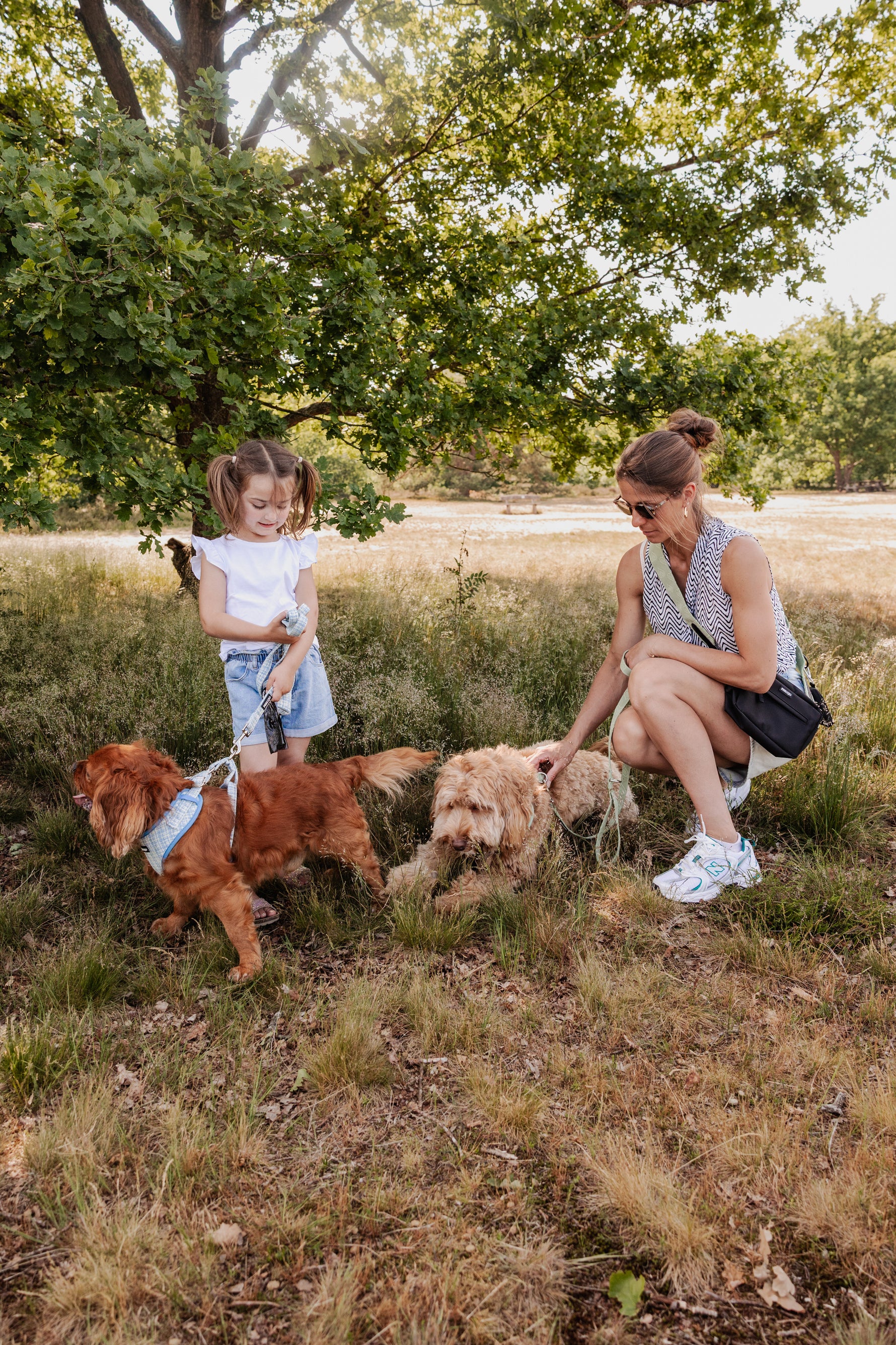 Minty Love Essentials Ensemble: Adjustable Neck Harness, Collar & Leash - Perlujo