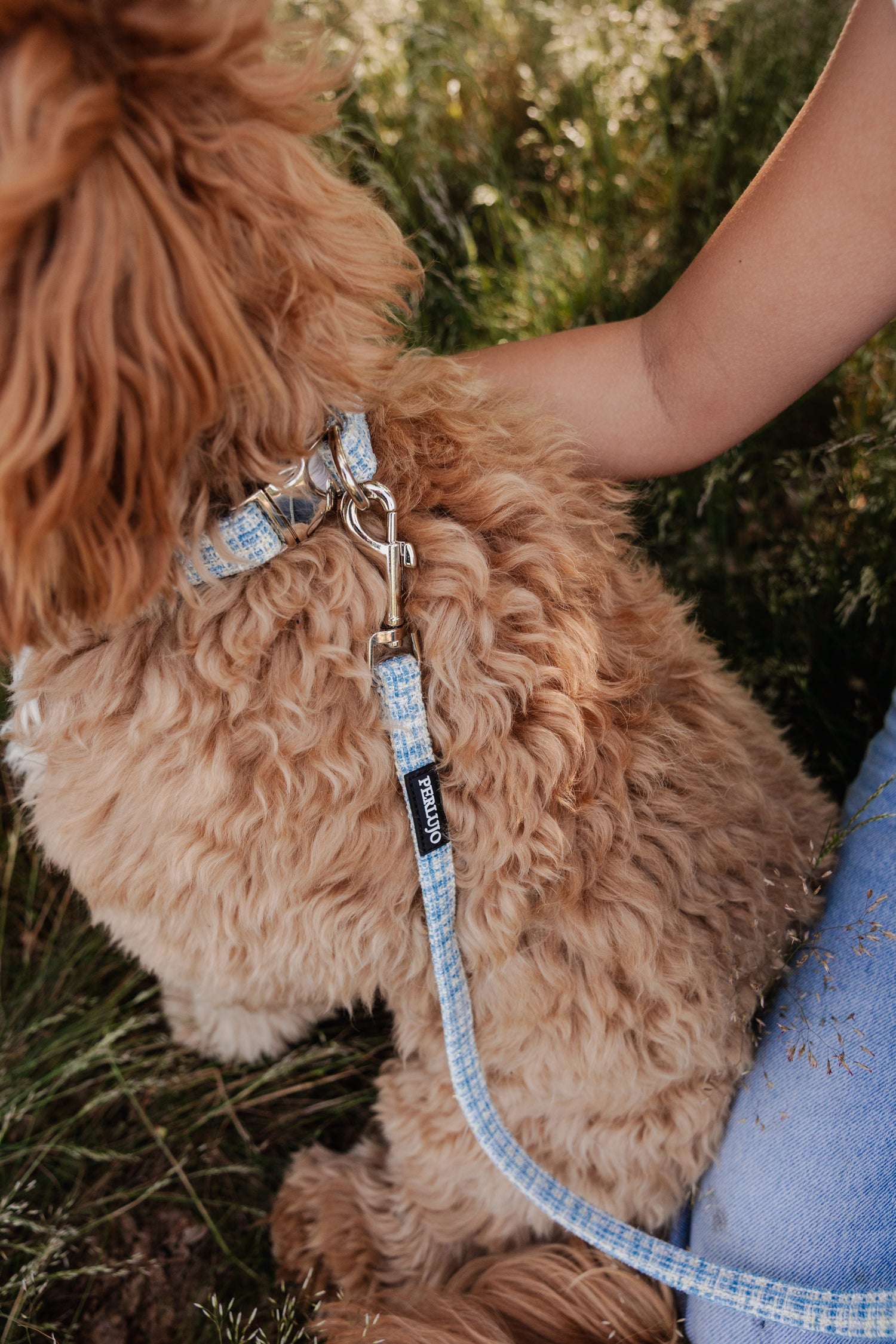 Sky Tweed Essentials Ensemble: Adjustable Neck Harness, Collar & Leash - Perlujo
