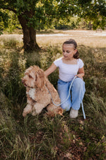 Sky Tweed Leash - Perlujo