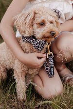 Wild Elegance Bow Tie - Perlujo