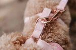 Rosy Bloom Essentials Ensemble: Adjustable Neck Harness, Collar & Leash - Perlujo