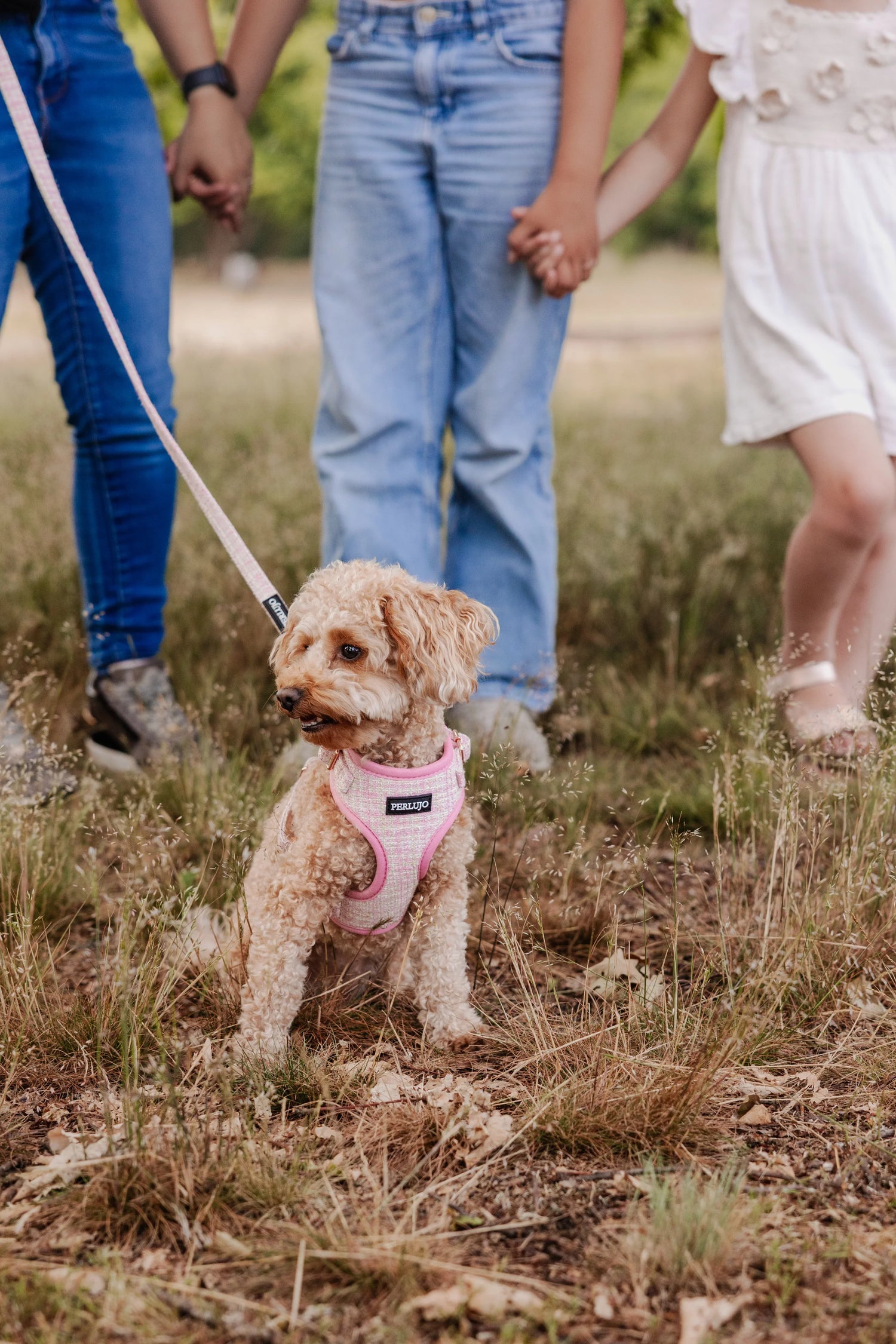 Blush Tweed Adjustable Neck Harness - Perlujo