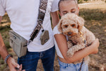 Silky Moss meets Wild Elegance Dog Walking Set - Perlujo