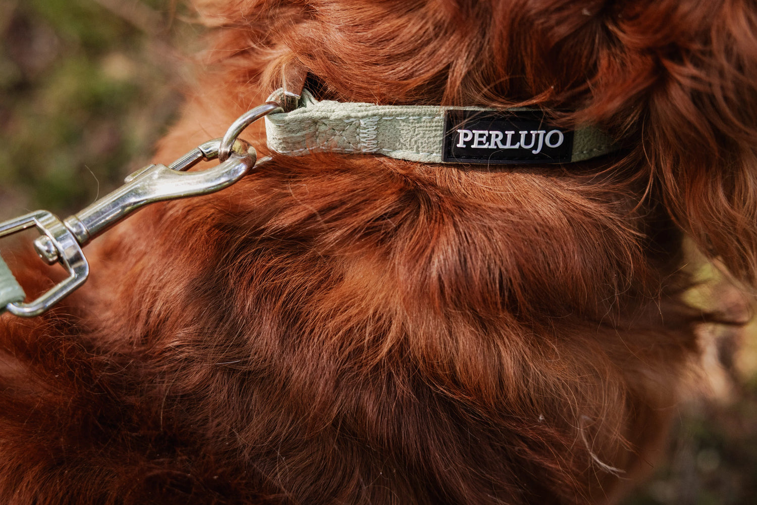 Minty Love Essentials Ensemble: Adjustable Neck Harness, Collar & Leash - Perlujo