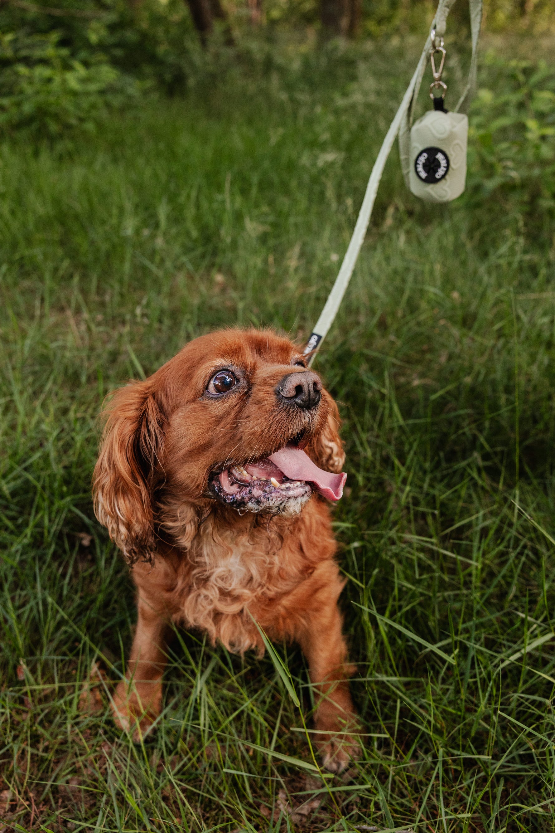 Minty Love Poop Bag Holder - Perlujo