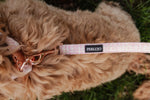 Blush Tweed Essentials Ensemble: Adjustable Neck Harness, Collar & Leash - Perlujo