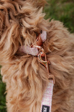 Blush Tweed Essentials Ensemble: Adjustable Neck Harness, Collar & Leash - Perlujo