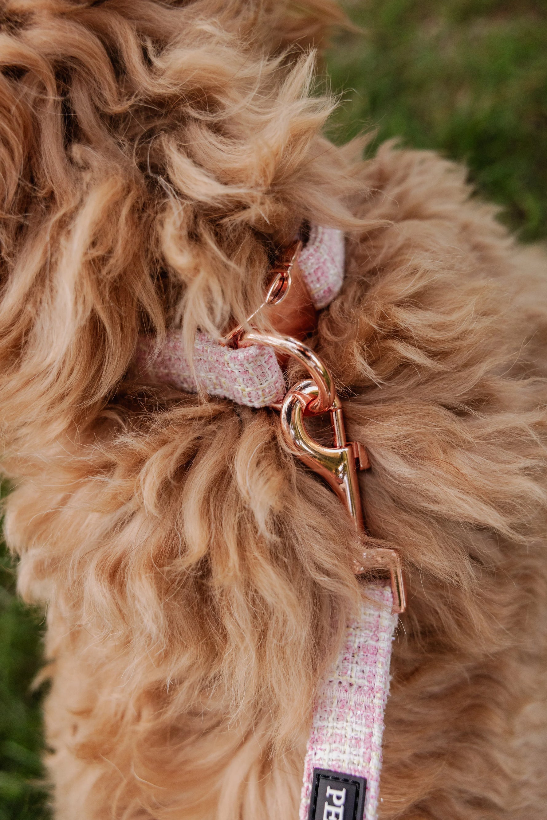Blush Tweed Essentials Ensemble: Adjustable Neck Harness, Collar & Leash - Perlujo