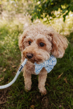 Sky Tweed Sailor Bow Tie - Perlujo