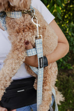 Midnight Black meets Sky Tweed Dog Walking Set - Perlujo