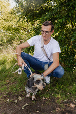 Silky Moss meets Champagne Clover Dog Walking Set - Perlujo