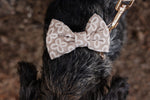 Champagne Clover Bow Tie - Perlujo