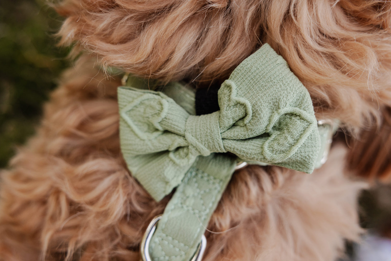 Minty Love Bow Tie - Perlujo