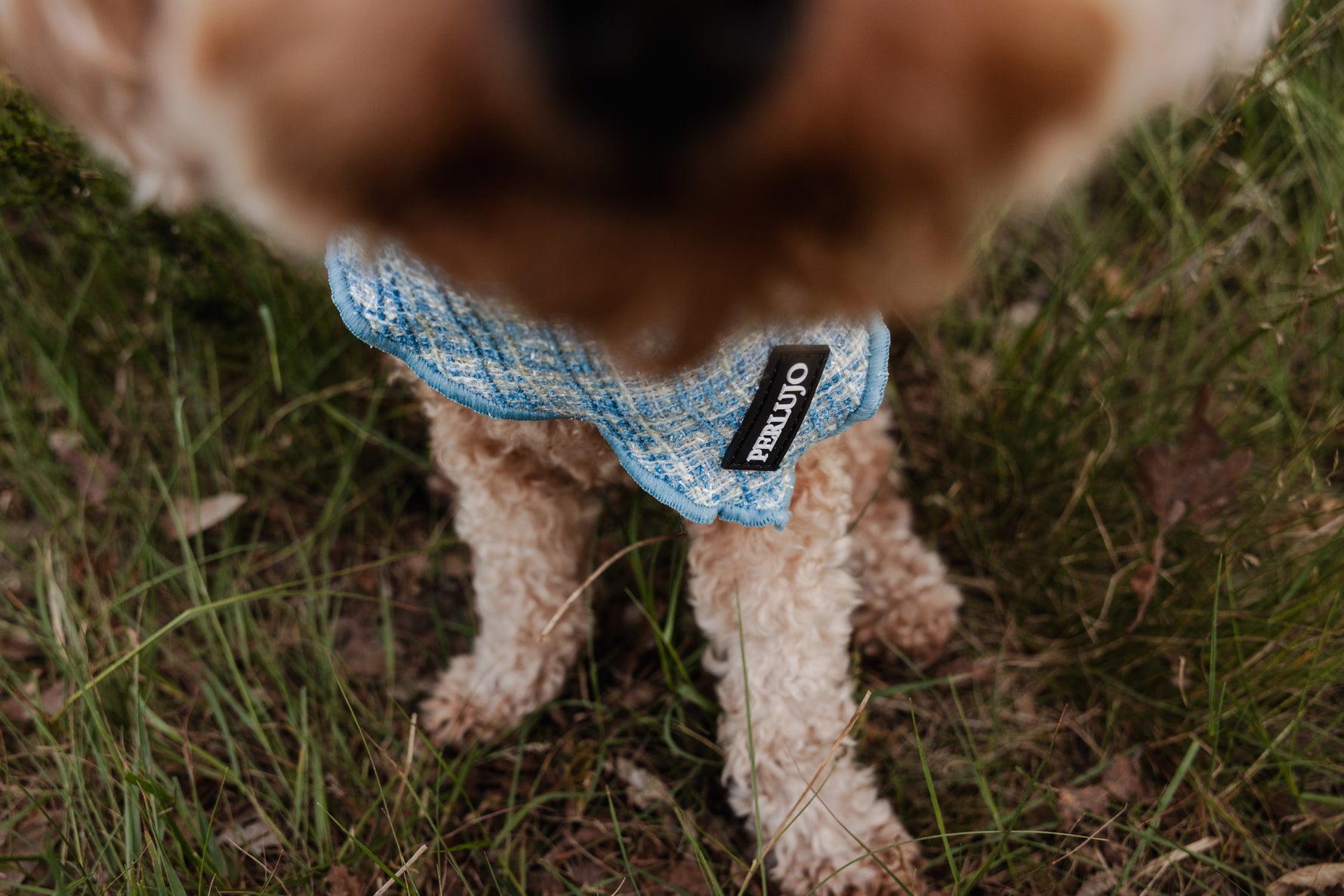 Sky Tweed Bandana - Perlujo